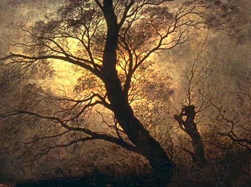 Caspar David Friedrich Trees in the moonlight Germany oil painting art